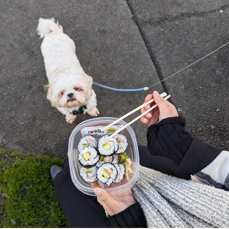 BYO Container with St Pierre's Sushi