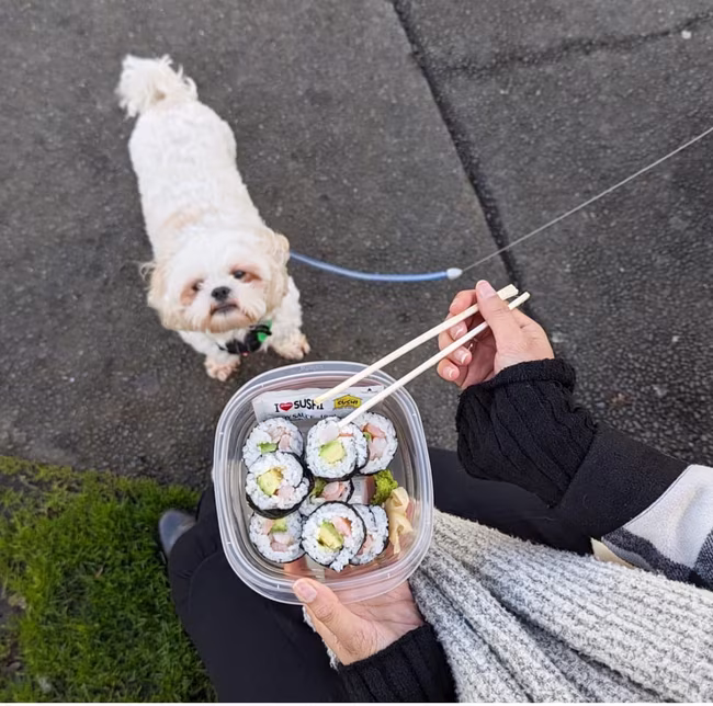 BYO Container with St Pierre's Sushi